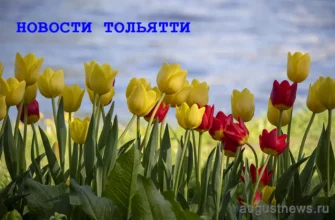 augustnews.ru новости тольятти заставка 960
