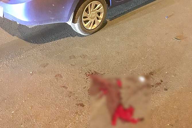 кровь на дороге около автомобиля
