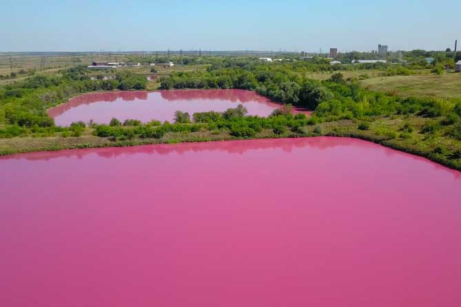 розовые озера в Кинельском районе