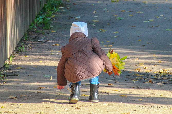девочка собирает осенние листья