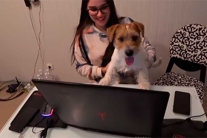 девушка с собакой за компьютером