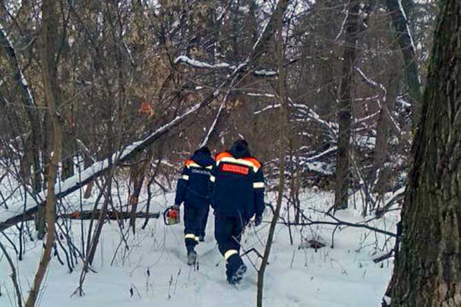 два спасателя идут в лесу