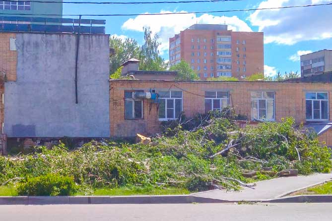 спилено дерево возле здания