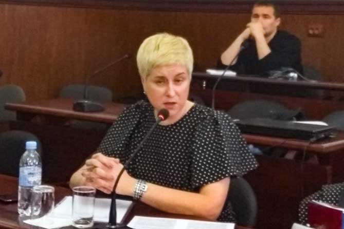 наталья ржевская экостройресурс дума заместитель директора по экологии ООО «ЭкоСтройРесурс» на круглом столе в Думе