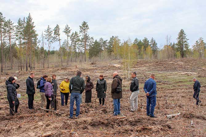 комиссия проверяет приживаемость саженцев в лесу в апреле 2019 года