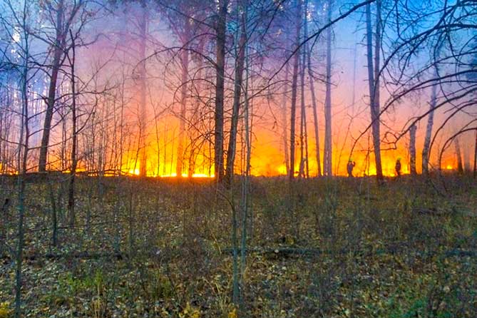 горит лес огонь пожарные ликвидируют