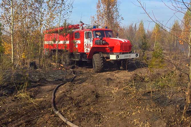 пожарная машина в лесу
