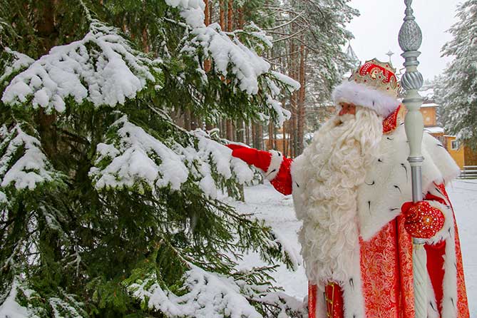 Дед Мороз из Великого Устюга стоит возле ели