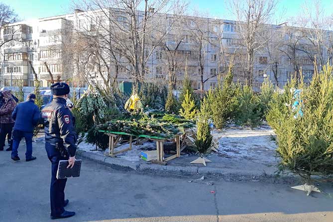 сотрудник полиции проверяет елочный базар в 7 квартале на Степана Разина
