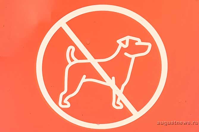 собаки запрещены