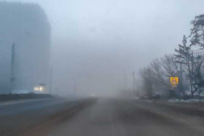 туман зимой на дороге