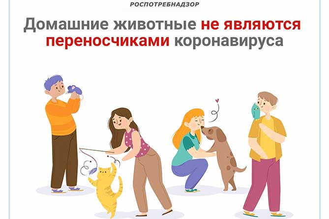 плакат роспотребнадзора