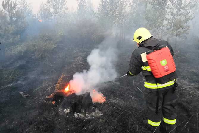 пожарный тушит огонь на пне в лесу