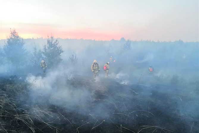 пожарные тушат огонь в лесу 21 июня 2020 года