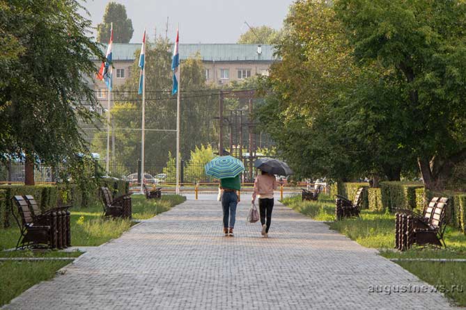 две девушки с зонтами идут по аллее на улице Жилина