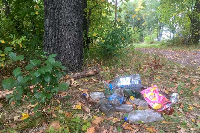 мусор под деревом на Федоровских лугах