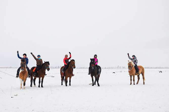 конный туризм в тольятти