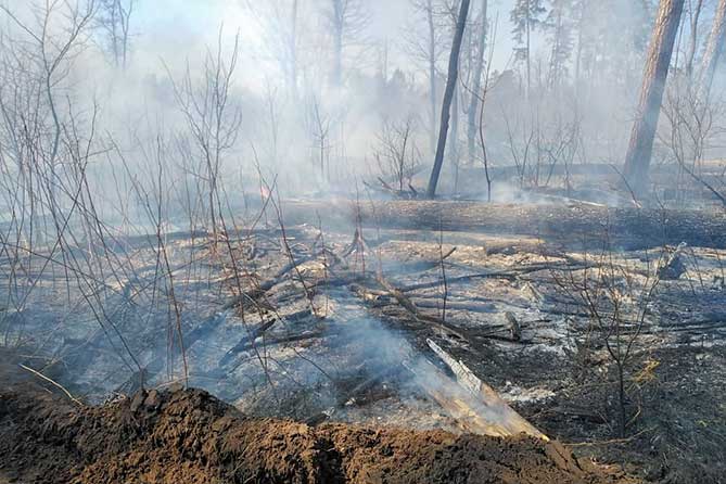 пожар в лесу 17 апреля