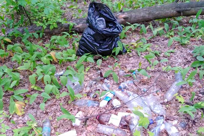 Не могу спокойно смотреть на эти груды пластика, салфеток и бутылок мусор в лесу возле бревна