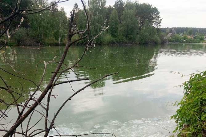 озеро "Восьмерка" в Комсомольском районе