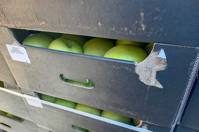 санкционные польские яблоки в коробках