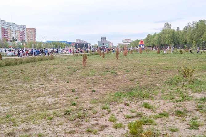сухая земля на газонах в парке 50-летия АВТОВАЗа