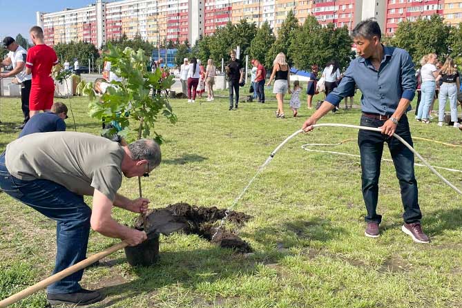 посадка саженцев кленов в сквере 50-летия АВТОВАЗа
