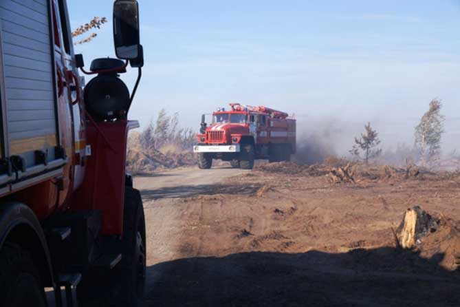 пожарная машина выезжает из леса