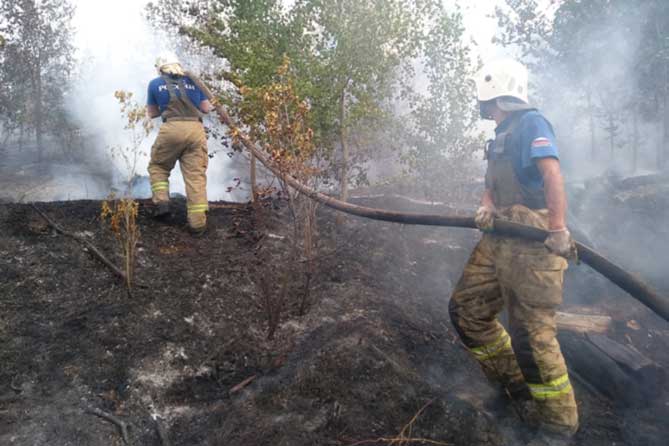 пожарные ликвидируют пожар в лесу 10 июля 2021 года