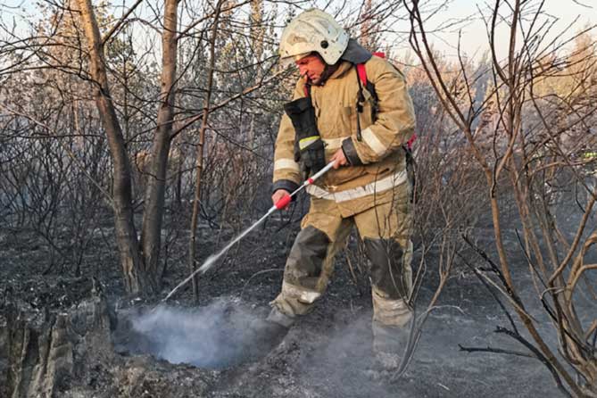 пожарный тушит огонь в лесу 12 июля 2021 года