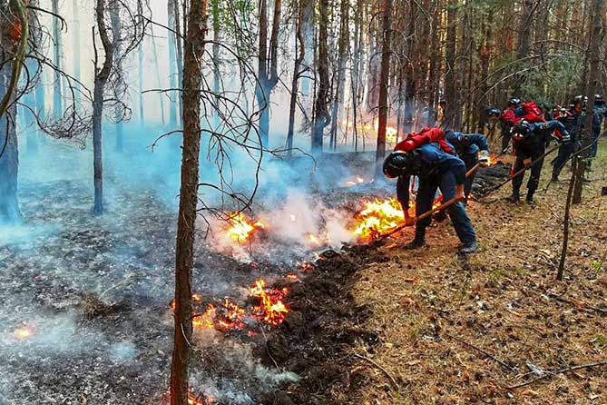 пожар в Борском районе локализован