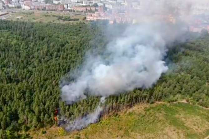 пожар в лесу 16 августа 2021 года