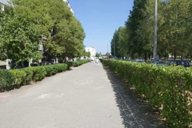 аллея в Комсомольском районе