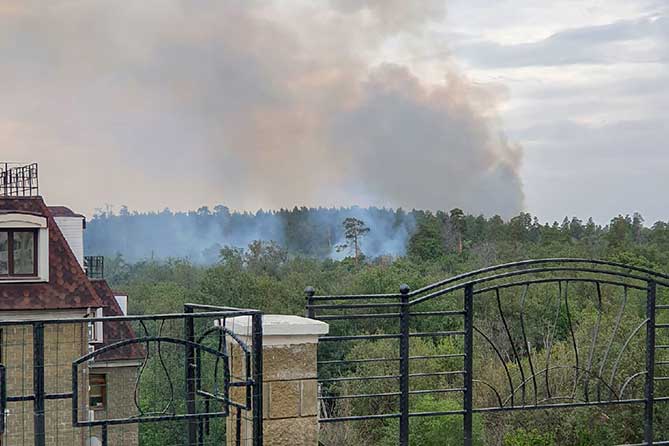 пожар в лесу рядом с домами