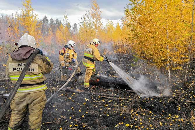 пожарные тушат возгорание в лесу за улицей Баныкина