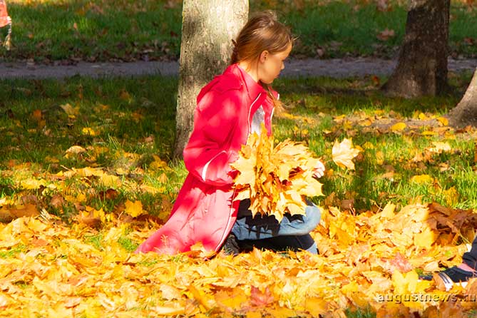 девочка собирает осенние листья в парке