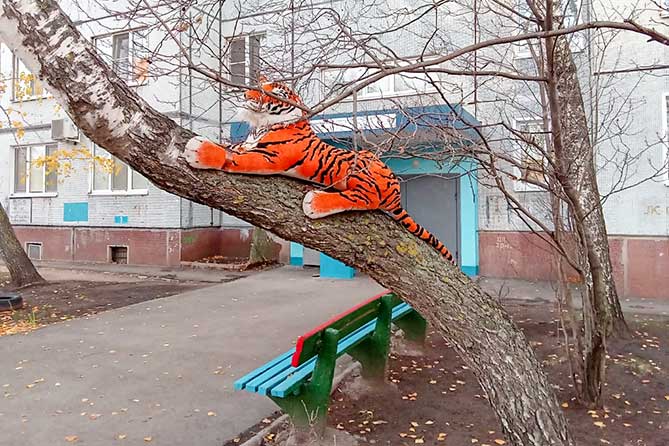 плюшевый тигр на дереве во дворе