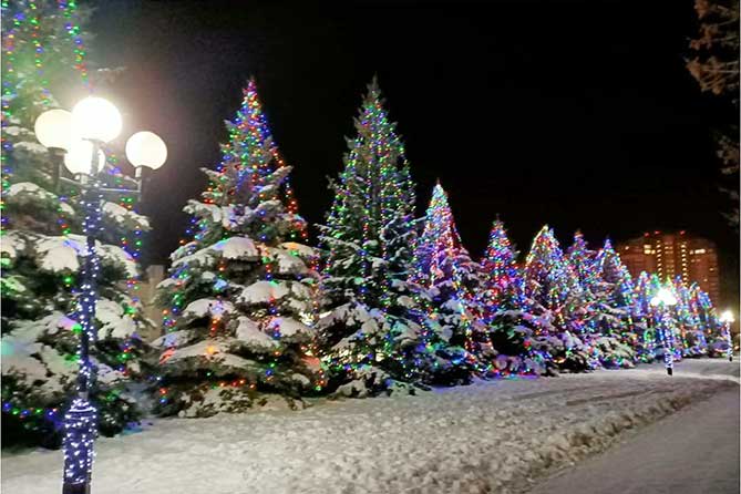 новогодние гирлянды на елях