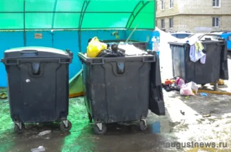 контейнеры с мусором около дома