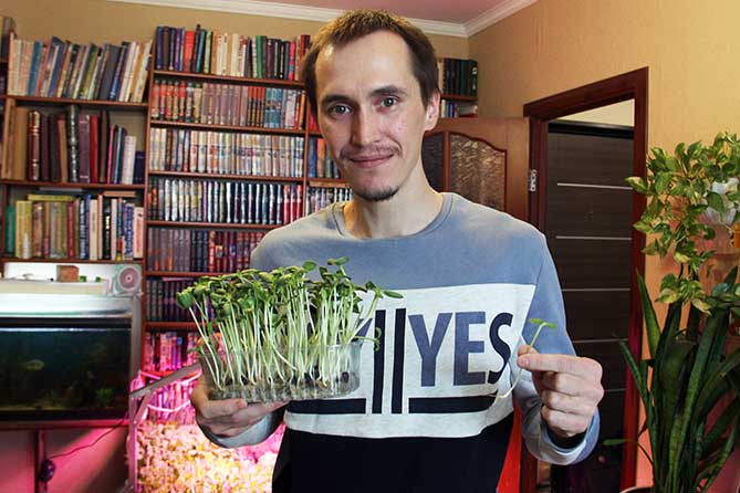 сити-фермер выращивает микрозелень в квартире