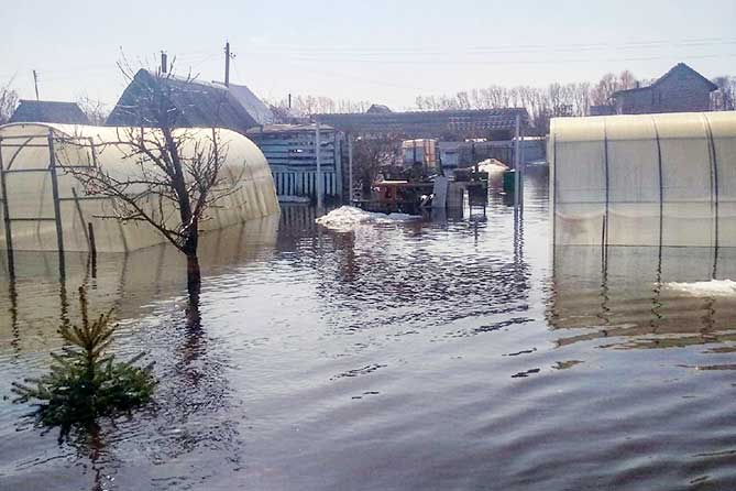 затоплены теплицы на участке в Нижнем Санчелеево