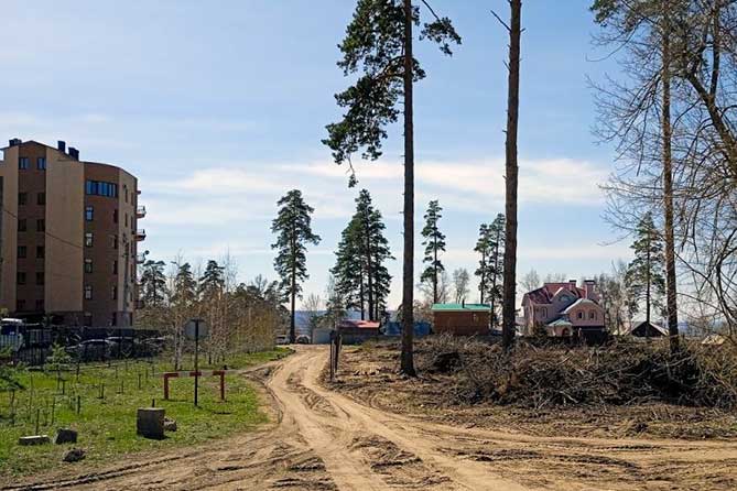 рубят лес в тольятти