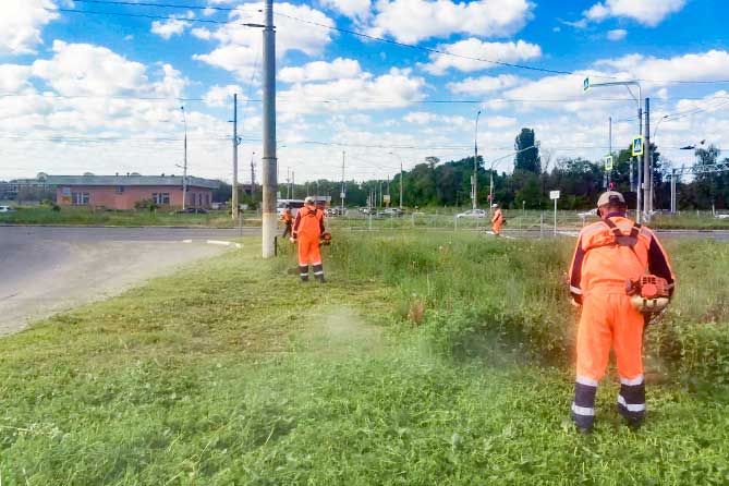 работники ДРСУ косят траву на газоне
