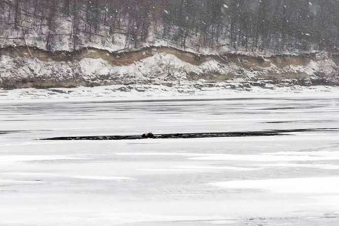 рыбаки на снегоходе провалились под лед