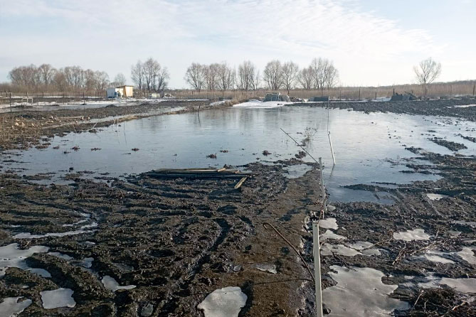 затоплен приусадебный участок в Нижнем Санчелеево