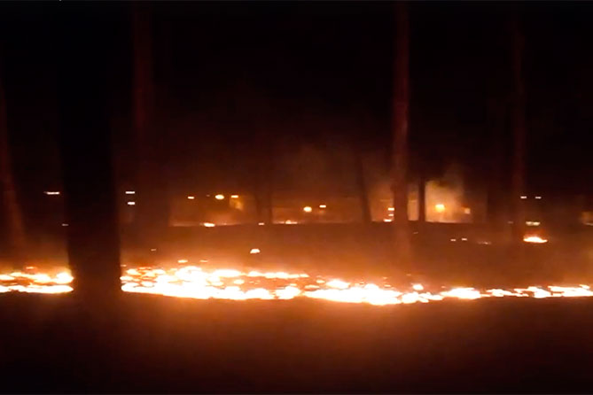 пожар в эко-парке Шлюзовой