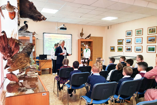 музей в гимназии 35