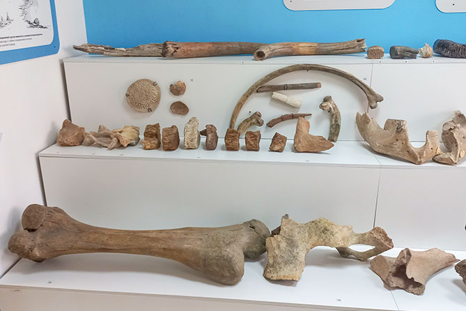 экспозиция древностей в музее