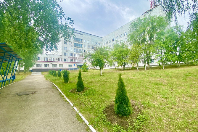 туи возле больницы 4