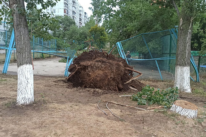 дерево упало на детскую площадку